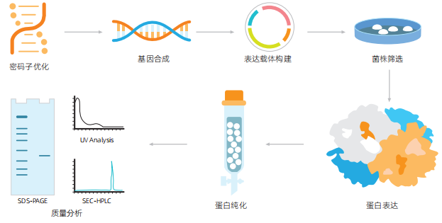 1750603204250.png 1750603204250.png