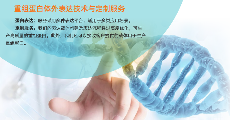 微信图片_20250622223306.png 微信图片_20250622223306.png