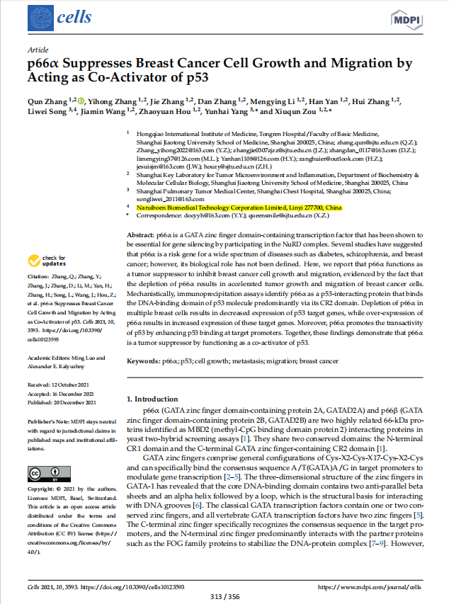 p66 α Suppresses Breast Cancer Cell Growth and Migration by Acting as Co-Activator of p53