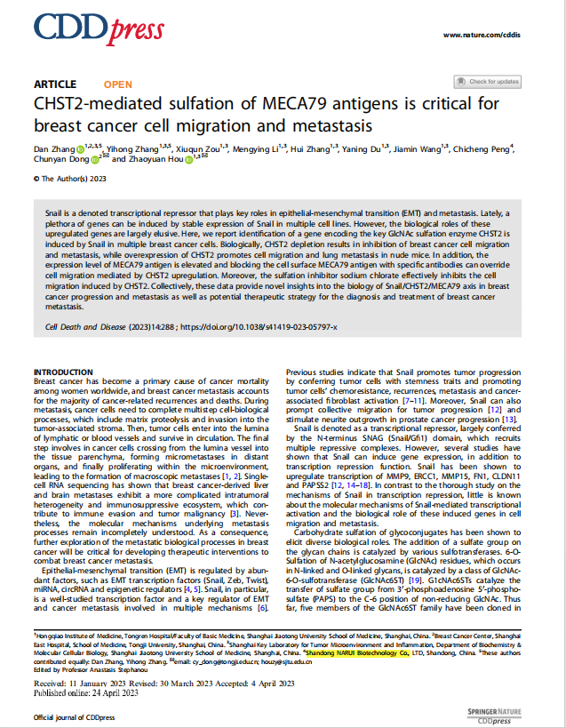 GATA zinc ﬁnger protein p66β promotes breast cancer cell migration by acting as a co-activator of Sn